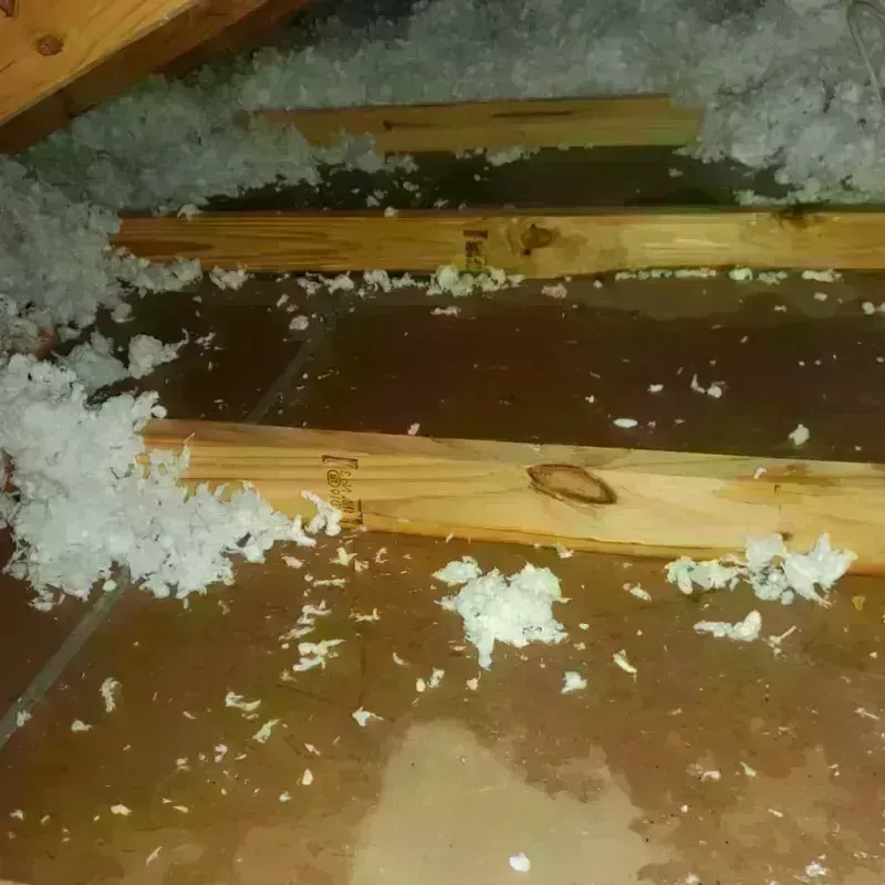 Attic Water Damage in New Martinsville, WV